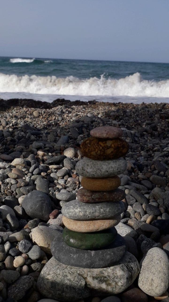 Fishing rod competitions🐙