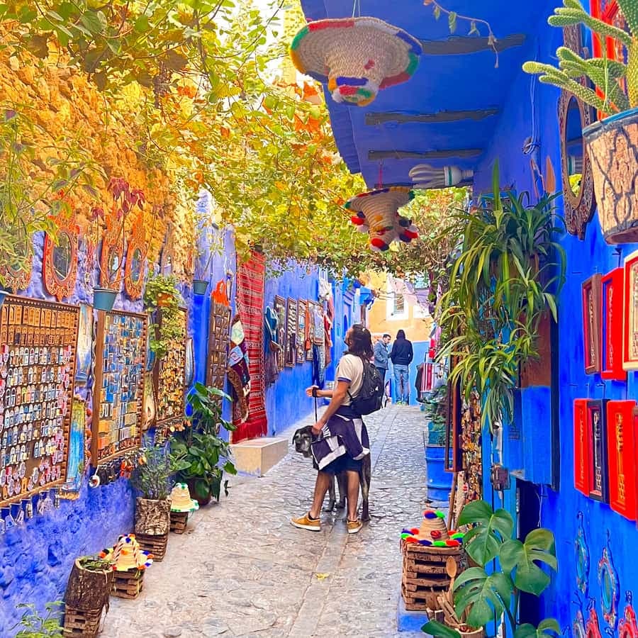 Grand Tour from Casablanca To Marrakech– 12 Days