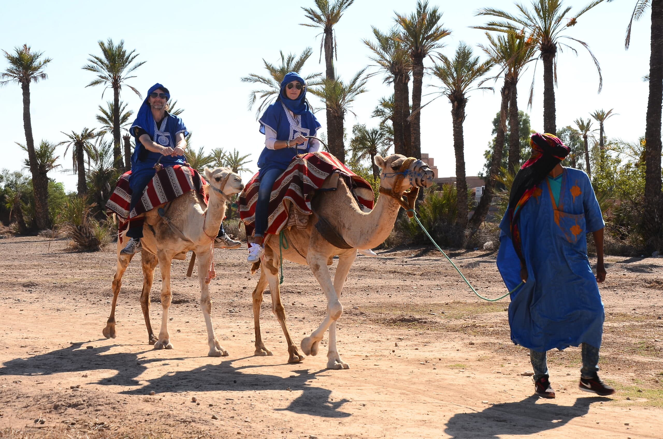 Camel Ride at Sunset in Marrakech’s Palmeraie