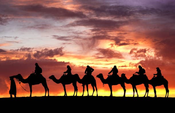 Imperial Routes & Desert Rhythms