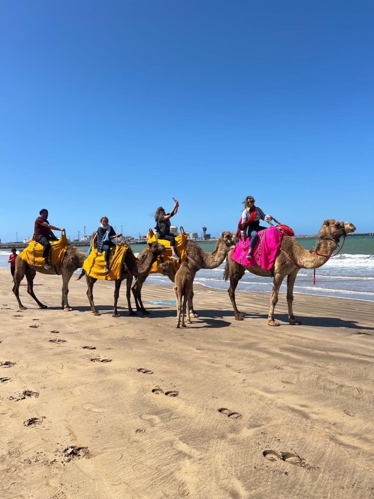 Private Tour Casablanca with lunch and Camel ride in the Mohammadia Beach