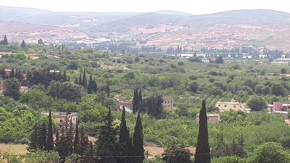 Middle Atlas Mountains Day Trip from Fes