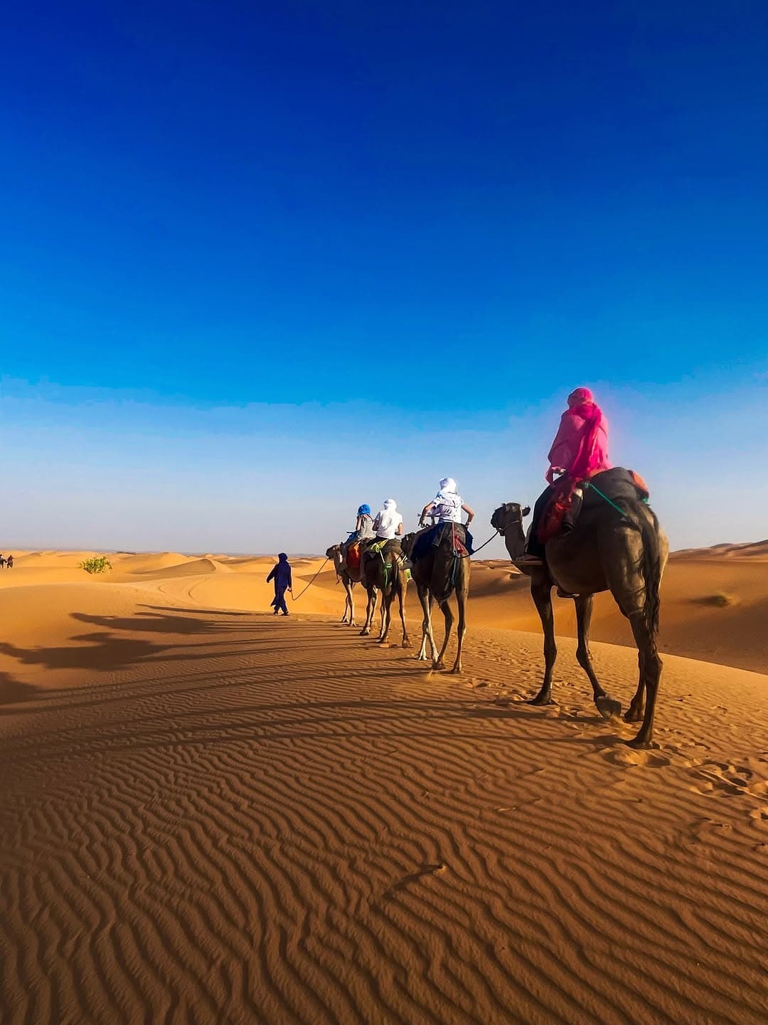 Desert Night in The Merzouga