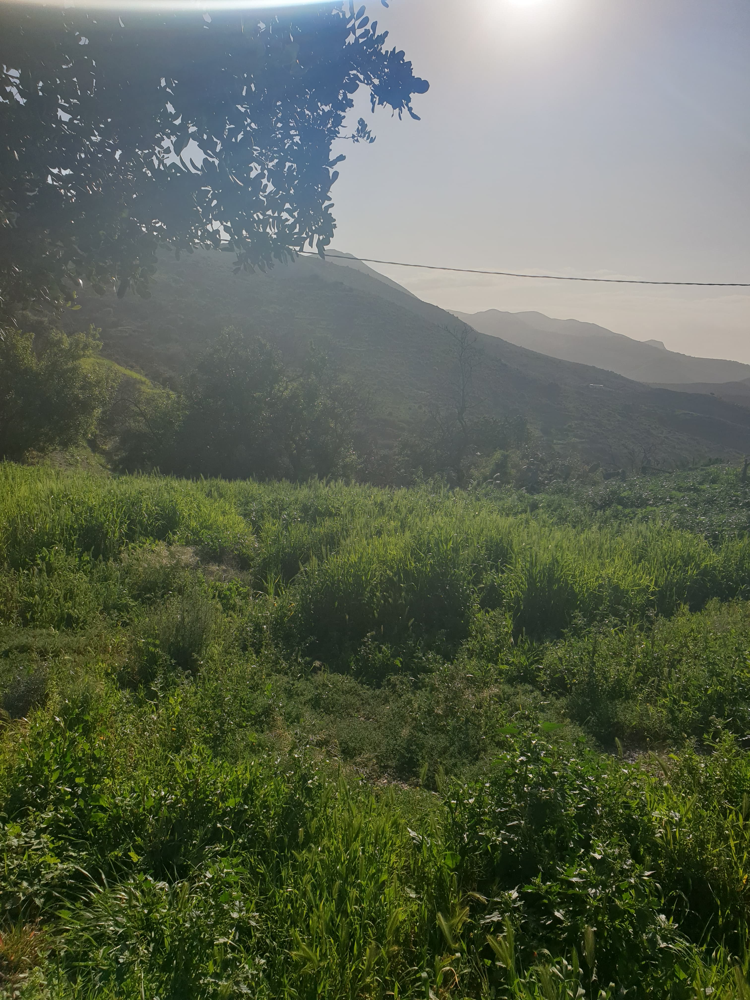 Walking in the mountains ⛰