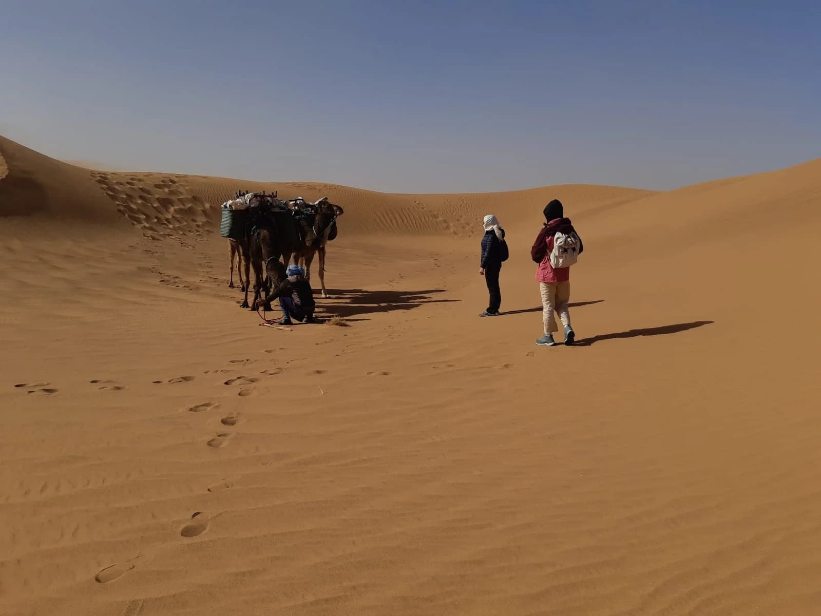 Home Trekking Trek dans le Parc National d’Iriki